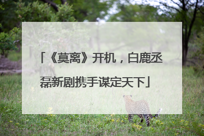 《莫离》开机，白鹿丞磊新剧携手谋定天下