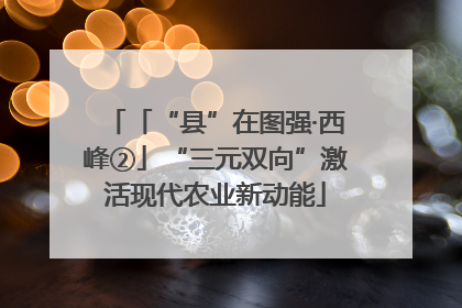 「“县”在图强·西峰②」“三元双向”激活现代农业新动能