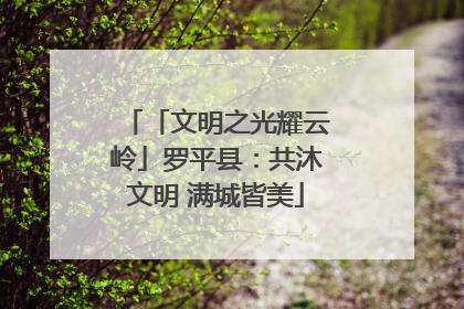 「文明之光耀云岭」罗平县：共沐文明 满城皆美
