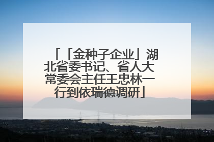 「金种子企业」湖北省委书记、省人大常委会主任王忠林一行到依瑞德调研