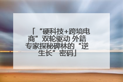 “硬科技+跨境电商”双轮驱动 外籍专家探秘碑林的“逆生长”密码