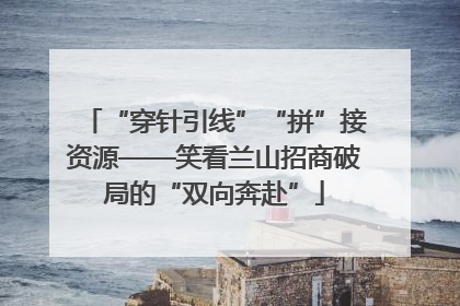 “穿针引线”“拼”接资源——笑看兰山招商破局的“双向奔赴”