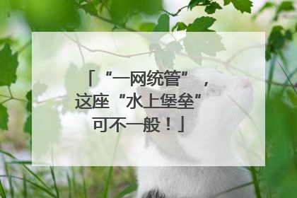 “一网统管”，这座“水上堡垒”可不一般！