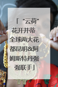 “云荷”花开并蒂 全球两大花都昆明&阿姆斯特丹强强联手