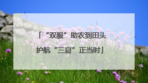 “双服”助农到田头 护航“三夏”正当时