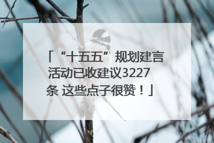 “十五五”规划建言活动已收建议3227条 这些点子很赞！