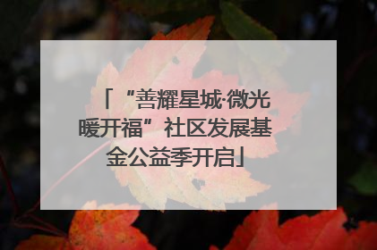 “善耀星城·微光暖开福”社区发展基金公益季开启