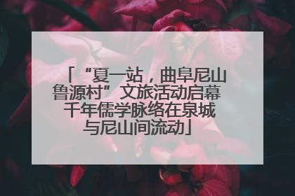 “夏一站，曲阜尼山鲁源村”文旅活动启幕 千年儒学脉络在泉城与尼山间流动