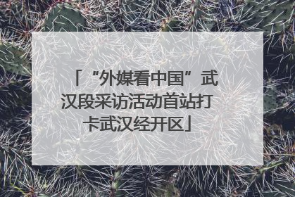 “外媒看中国”武汉段采访活动首站打卡武汉经开区