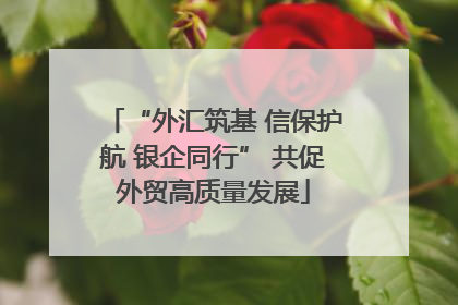 “外汇筑基 信保护航 银企同行” 共促外贸高质量发展