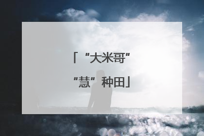 “大米哥”“慧”种田