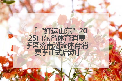 “好运山东”2025山东省体育消费季暨济南潮流体育消费季正式启动