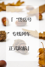 “岱岳号”专线列车正式起航