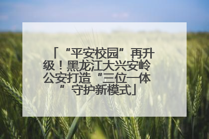 “平安校园”再升级！黑龙江大兴安岭公安打造“三位一体”守护新模式