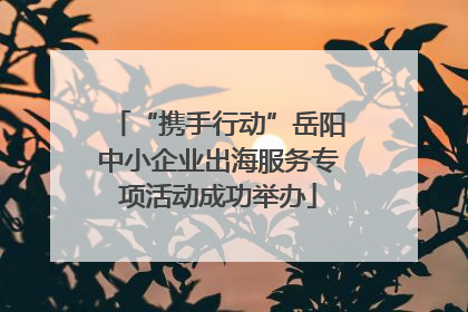 “携手行动”岳阳中小企业出海服务专项活动成功举办