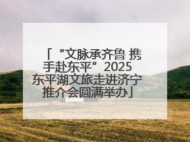“文脉承齐鲁 携手赴东平”2025东平湖文旅走进济宁推介会圆满举办
