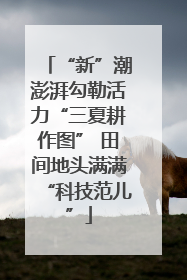 “新”潮澎湃勾勒活力“三夏耕作图” 田间地头满满“科技范儿”