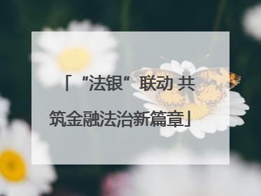 “法银”联动 共筑金融法治新篇章