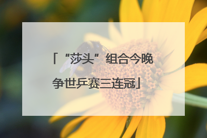 “莎头”组合今晚争世乒赛三连冠