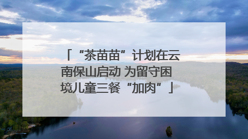 “茶苗苗”计划在云南保山启动 为留守困境儿童三餐“加肉”