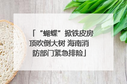 “蝴蝶”掀铁皮房顶吹倒大树 海南消防部门紧急排险