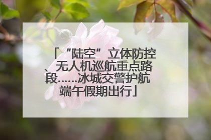 “陆空”立体防控、无人机巡航重点路段……冰城交警护航端午假期出行