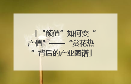 “颜值”如何变“产值”——“赏花热”背后的产业图谱
