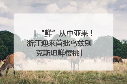 “鲜”从中亚来！浙江迎来首批乌兹别克斯坦鲜樱桃