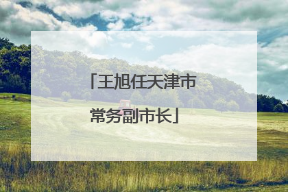 王旭任天津市常务副市长