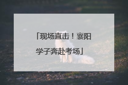 现场直击！襄阳学子奔赴考场