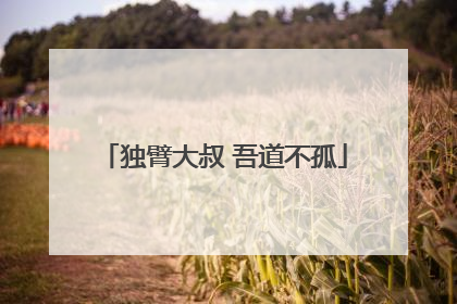 独臂大叔 吾道不孤