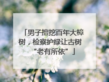男子擅挖百年大樟树，检察护绿让古树“老有所依”