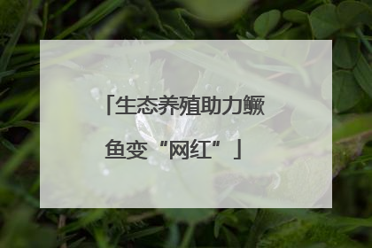 生态养殖助力鳜鱼变“网红”