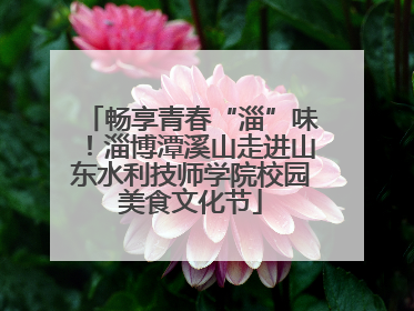 畅享青春“淄”味！淄博潭溪山走进山东水利技师学院校园美食文化节