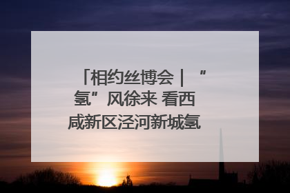 相约丝博会｜“氢”风徐来 看西咸新区泾河新城氢能产业聚链成势