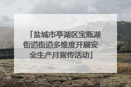 盐城市亭湖区宝瓶湖街道街道多维度开展安全生产月宣传活动