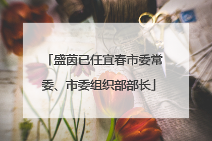 盛茵已任宜春市委常委、市委组织部部长