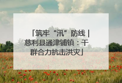 筑牢“汛”防线｜慈利县通津铺镇：干群合力抗击洪灾