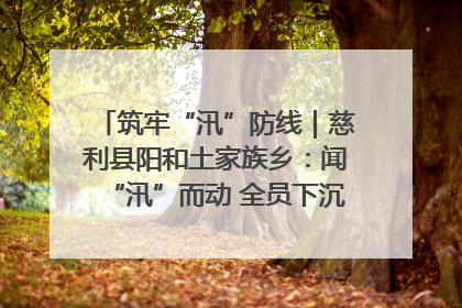 筑牢“汛”防线｜慈利县阳和土家族乡：闻“汛”而动 全员下沉筑牢防汛“安全堤”