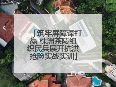 筑牢屏障谋打赢 株洲茶陵组织民兵展开抗洪抢险实战实训