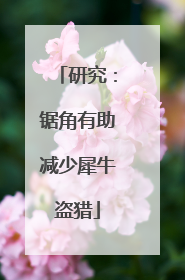 研究：锯角有助减少犀牛盗猎