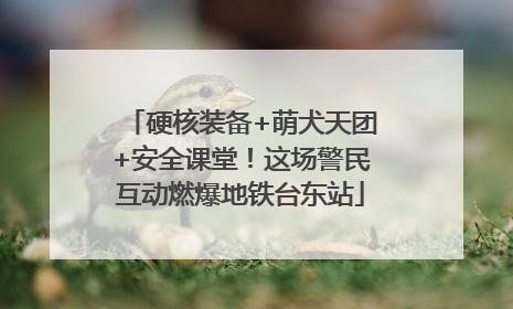 硬核装备+萌犬天团+安全课堂！这场警民互动燃爆地铁台东站