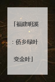 福建明溪：侨乡绿叶变金叶