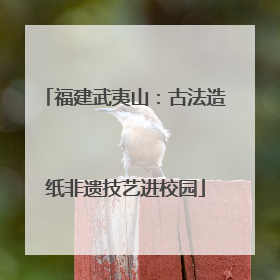福建武夷山：古法造纸非遗技艺进校园