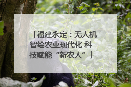 福建永定：无人机智绘农业现代化 科技赋能“新农人”