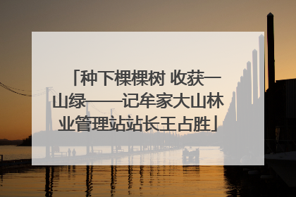 种下棵棵树 收获一山绿——记牟家大山林业管理站站长王占胜
