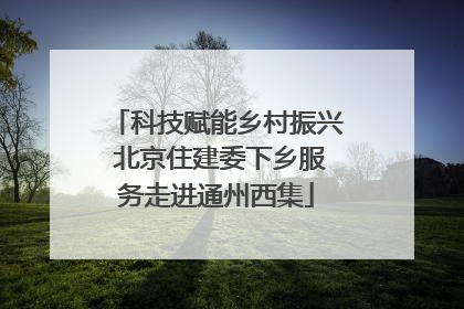 科技赋能乡村振兴 北京住建委下乡服务走进通州西集
