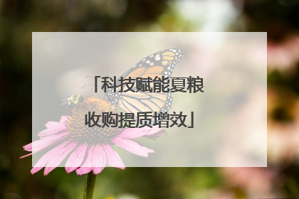 科技赋能夏粮收购提质增效