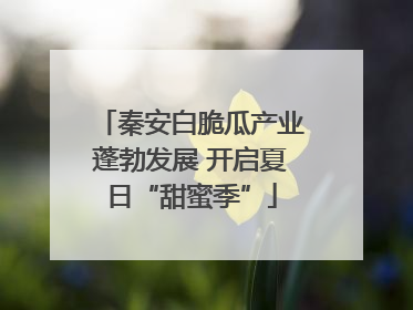 秦安白脆瓜产业蓬勃发展 开启夏日“甜蜜季”