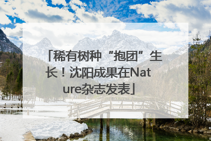 稀有树种“抱团”生长!沈阳成果在Nature杂志发表